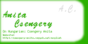 anita csengery business card